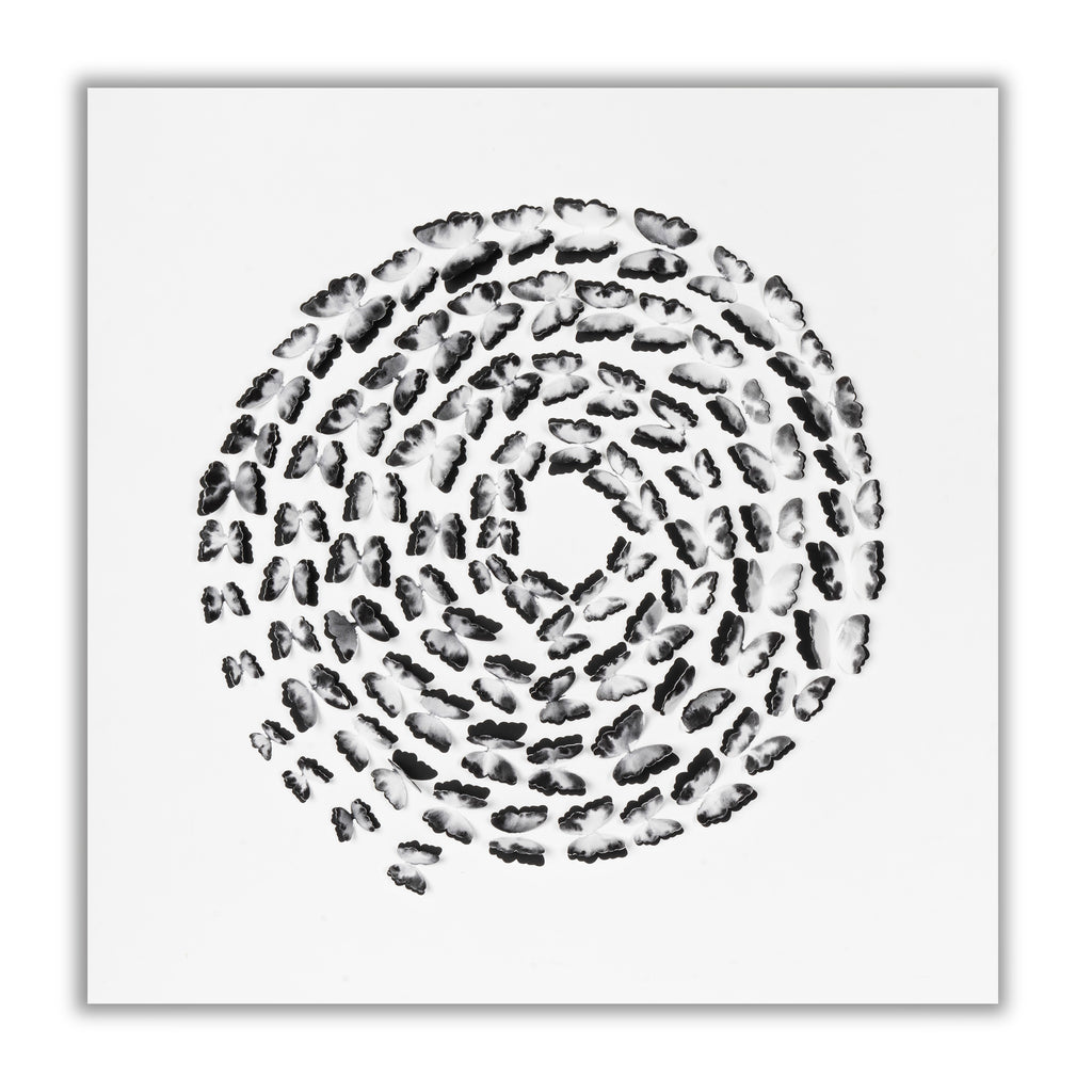 Black and White Butterfly Spiral – 3D Paper Wall Art