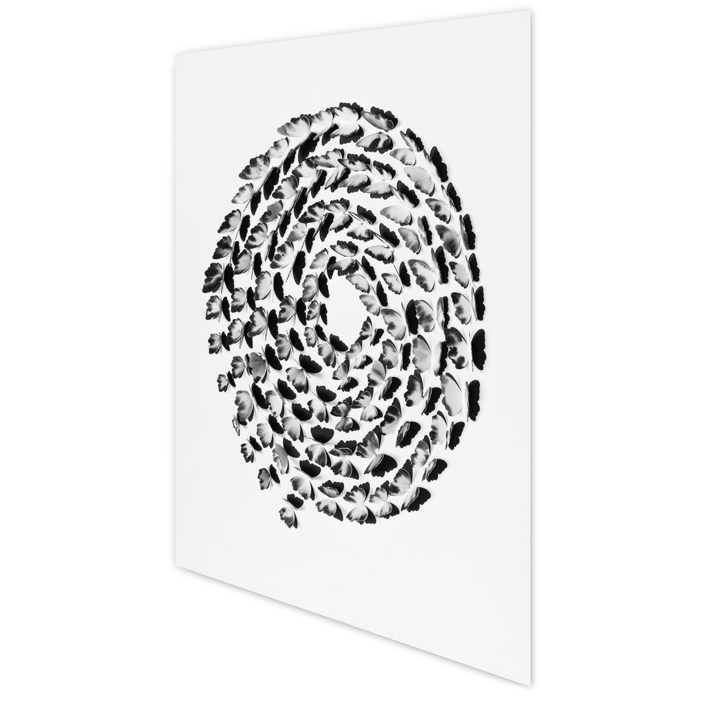 Black and White Butterfly Spiral – 3D Paper Wall Art
