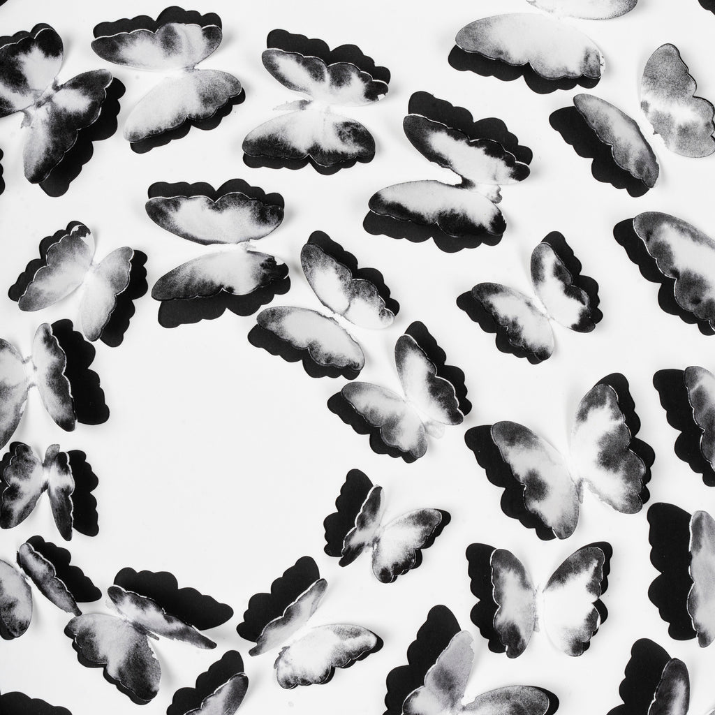 Black and White Butterfly Spiral – 3D Paper Wall Art