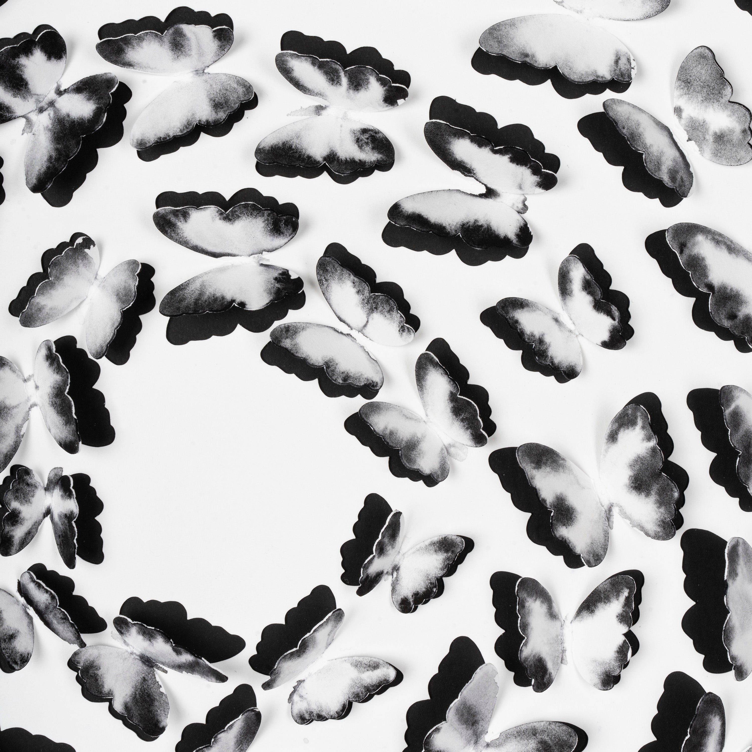 Black and White Butterfly Spiral – 3D Paper Wall Art