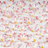 Pink Daisy 3D Paper Wall Art – Original Watercolor Floral Artwork