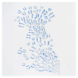 Full front view of Blue Butterfly Wall Art on a clean white background
