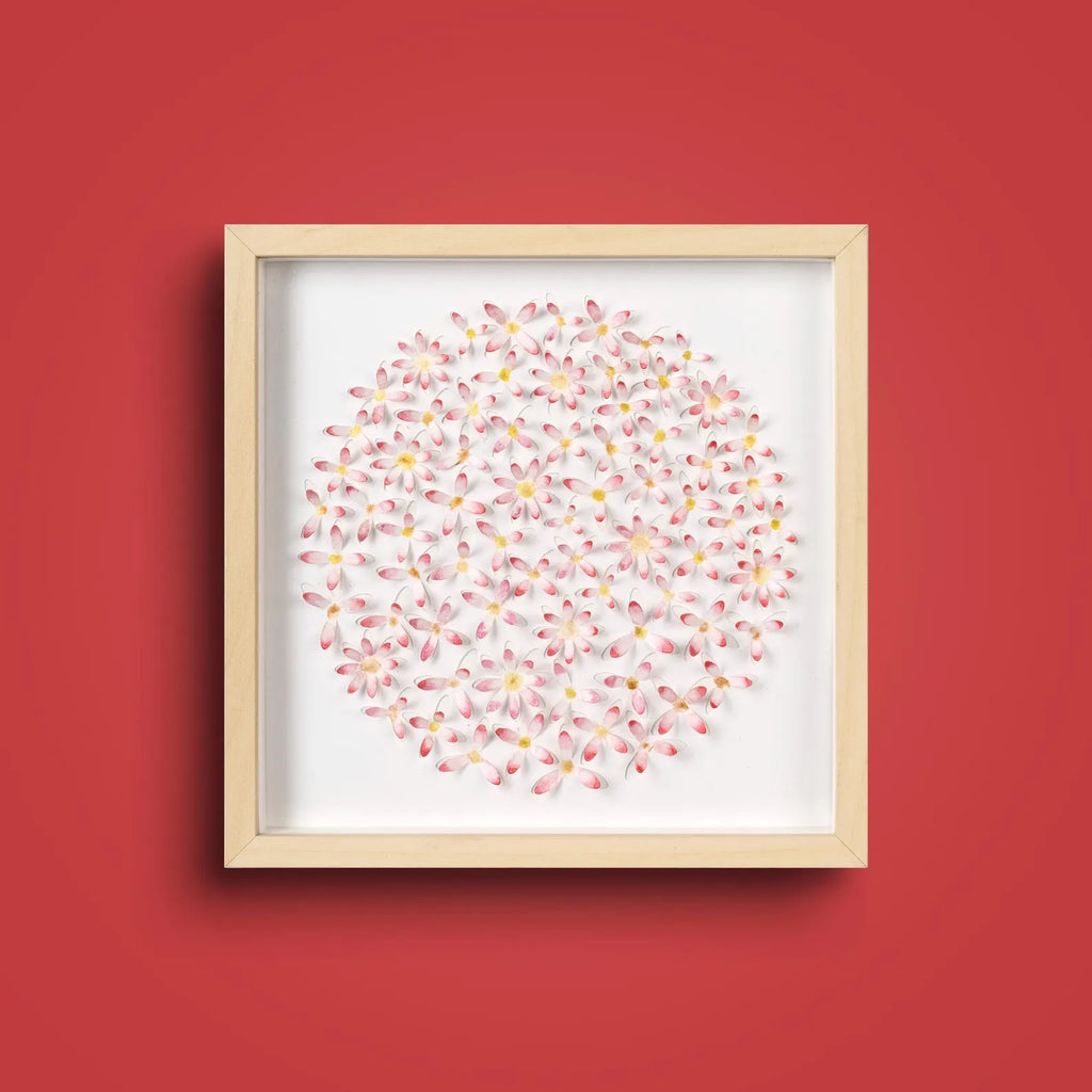 Pink Daisy Circle Wall Art in natural wood frame shown on a clean light background