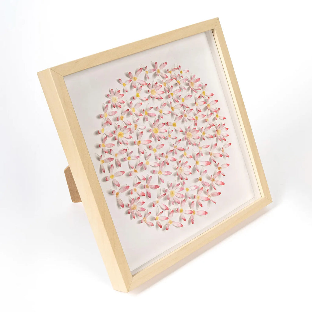 Pink Daisy Circle Wall Art styled in a warm interior with natural textures