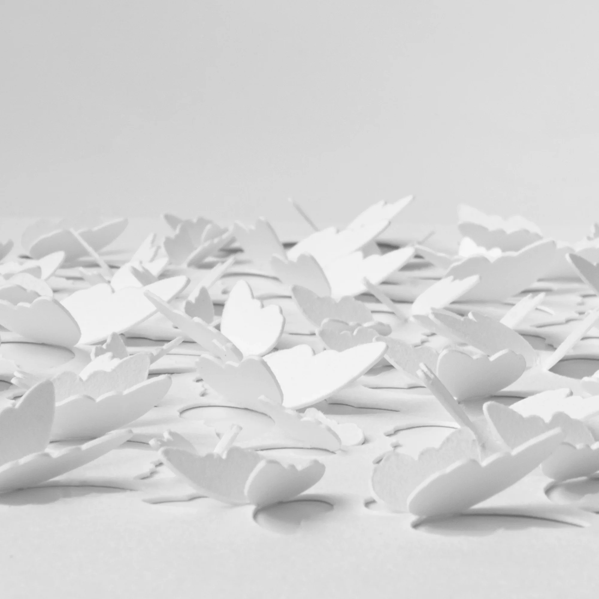 Close-up detail of white butterfly 3D paper art showing layered raised butterfly shapes.