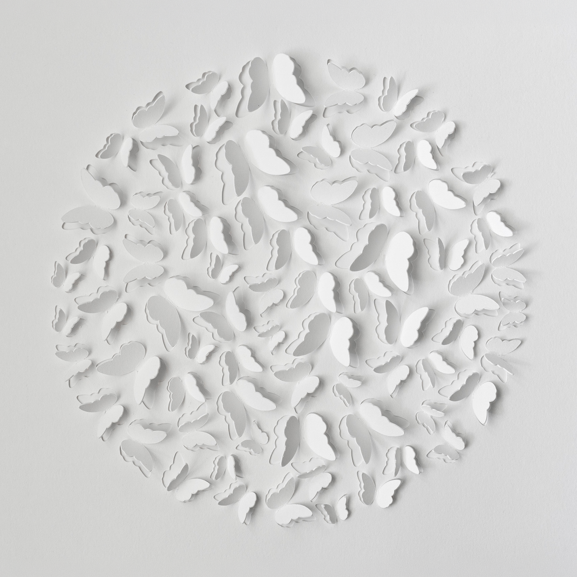 White butterfly 3D watercolor paper design before painting with many raised pre-cut butterflies.