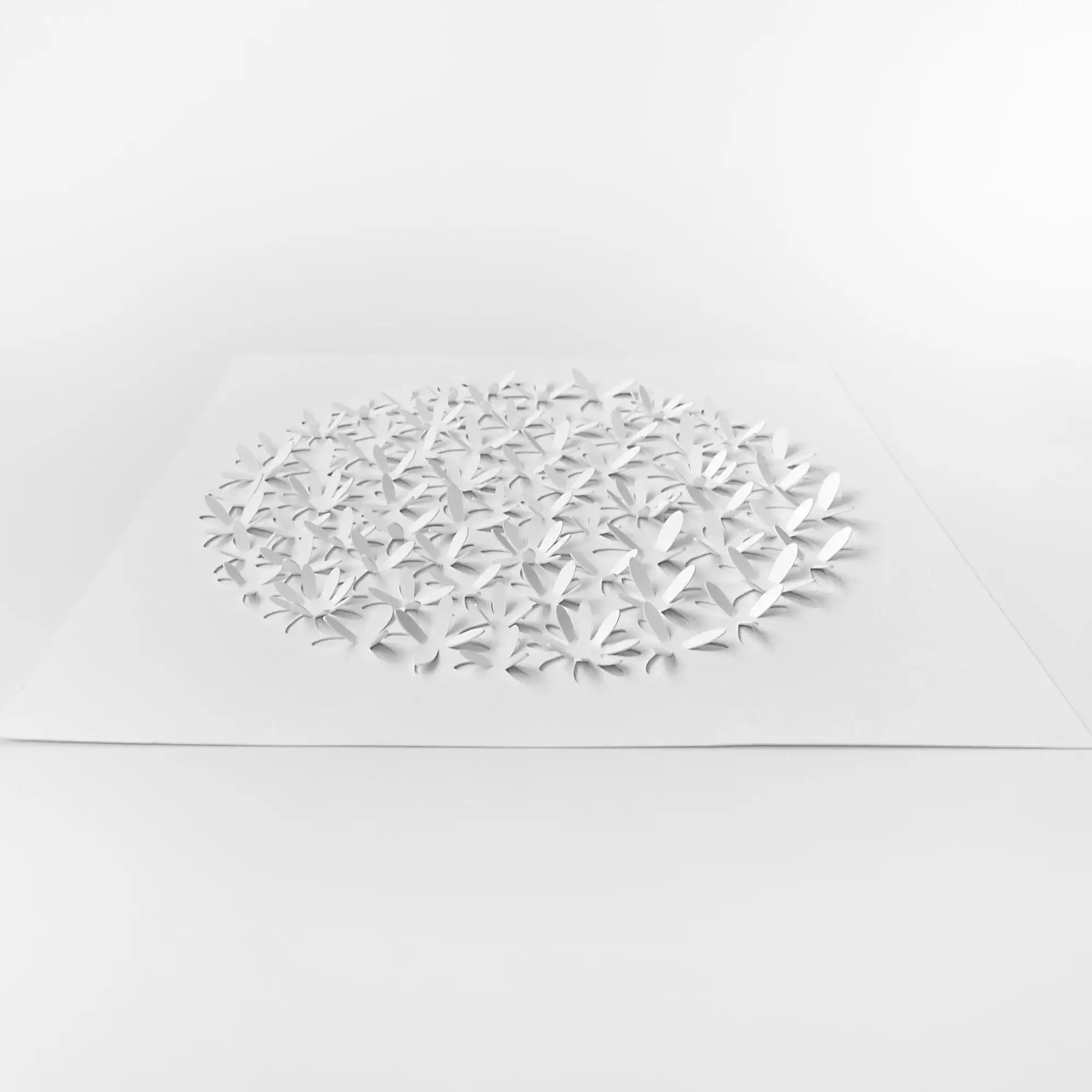 White daisy 3D watercolor paper design before painting with raised pre-cut floral petals.