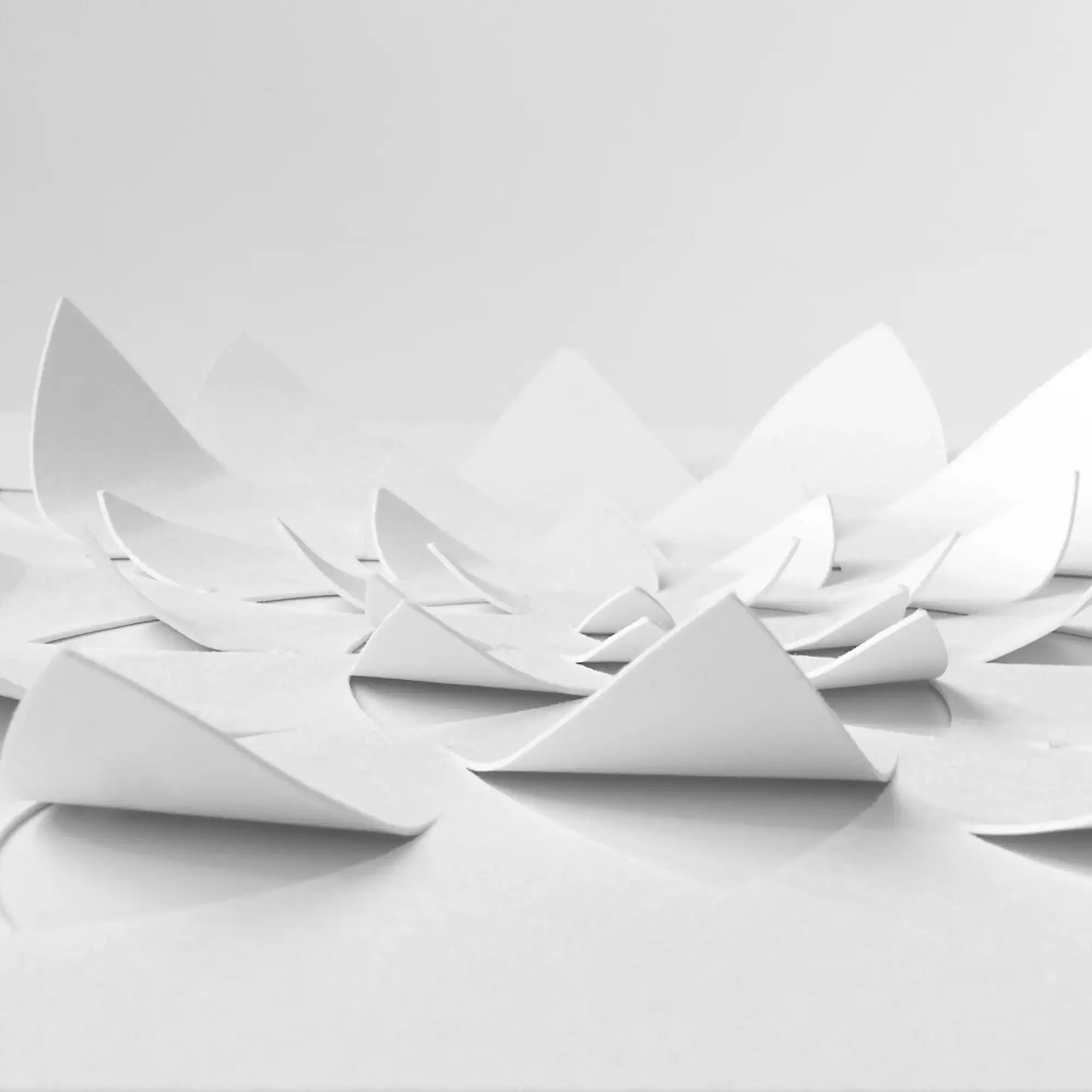 Close-up detail of a white lotus 3D paper art design showing raised pre-cut petals.