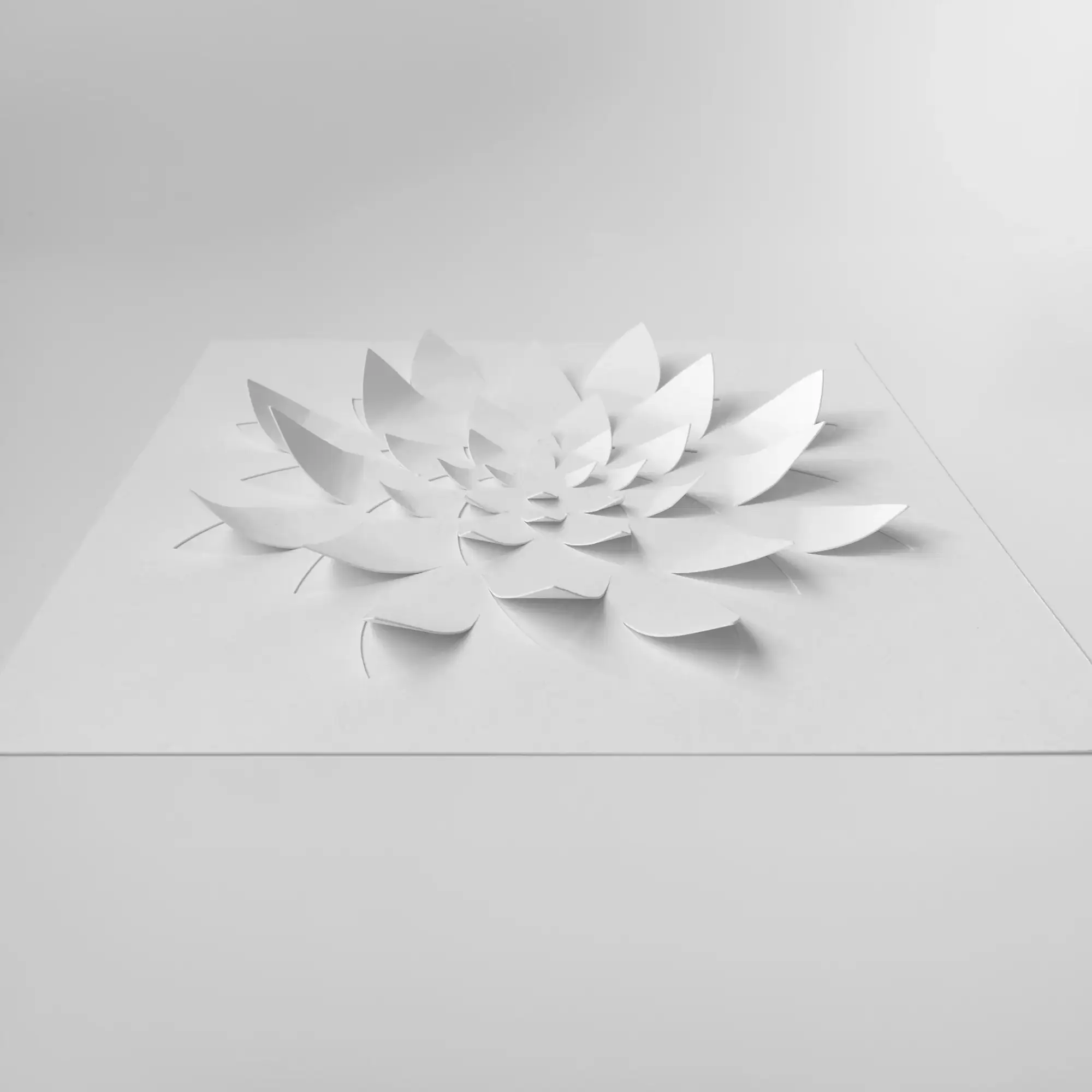 White pre-cut lotus 3D watercolor paper DIY kit before painting, shown with raised paper petals.
